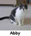 Abby