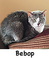 Bebop