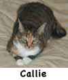 Callie