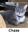 ChaseH