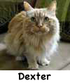 Dexter1