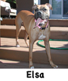 Elsa