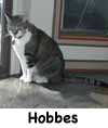 Hobbes