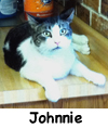 Johnnie
