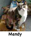 Mandy