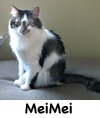 MeiMei