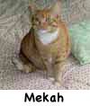Mekah