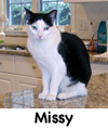 Missy