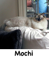 Mochi