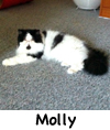 MollyC