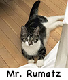 MrRumatz