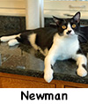 Newman