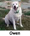 Owen