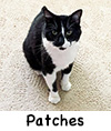 Patches