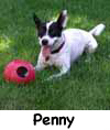 Penny