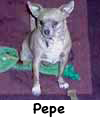 Pepe