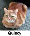Quincy