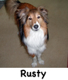 Rusty
