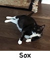 Sox