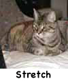 Stretch