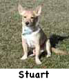 Stuart