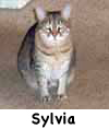 Sylvia