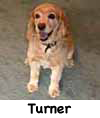 Turner