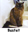 Bastet