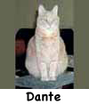 Dante